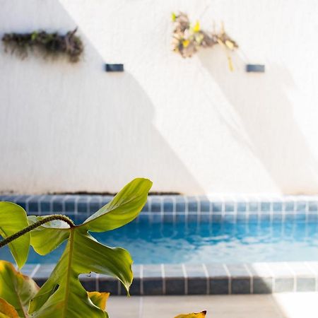 Casa Kayak - Villa Remo Milagres Piscina Privativa São Miguel dos Milagres 외부 사진