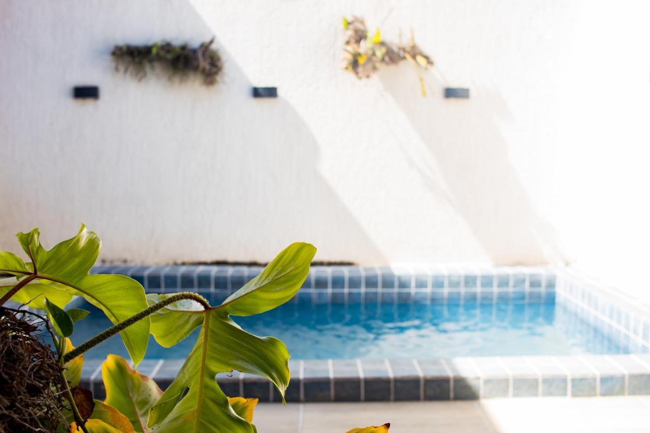 Casa Kayak - Villa Remo Milagres Piscina Privativa São Miguel dos Milagres 외부 사진